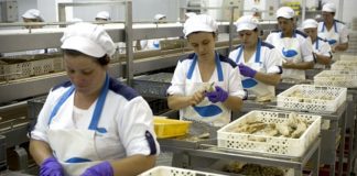 COFACO promove despedimento coletivo no Pico DR