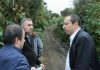 Investimentos – Governo Regional investe 380 mil euros no setor agrícola no Faial DR