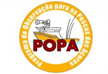 Programa de Observação para as Pescas dos Açores abre candidaturas a postos de emprego DR