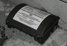 Câmara Municipal da Horta – Criada comissão para desratização do Faial DR