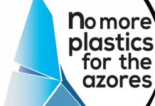No More Plastics for the Azores apresenta propostas para a Semana do Mar DR