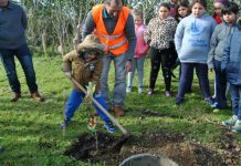 O Quintal – Câmara Municipal implementa o projeto na Escola do Pasteleiro TI