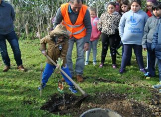 O Quintal – Câmara Municipal implementa o projeto na Escola do Pasteleiro TI