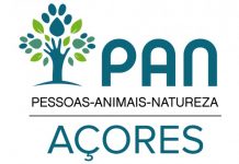 PAN/Açores – “Comportamento errático e pouco cooperativo” dão origem à retirada da confiança política a Hugo Rombeiro DR