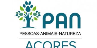 PAN/Açores – “Comportamento errático e pouco cooperativo” dão origem à retirada da confiança política a Hugo Rombeiro DR