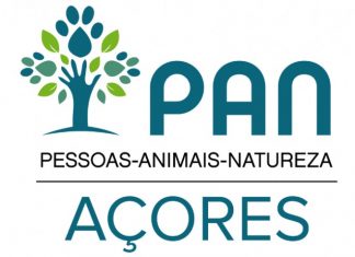 PAN/Açores – “Comportamento errático e pouco cooperativo” dão origem à retirada da confiança política a Hugo Rombeiro DR