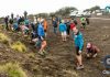 II edição do Trail Click Saúde & Bem-Estar – Desporto, saúde, ambiente e solidariedade num só evento DR