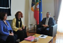 ABRIGAR – Governo dos Açores investe na defesa dos animais de rua TI