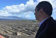 Vinha do Pico – Atribuído apoio suplementar de 240 mil euros para ajudar à manutenção DR