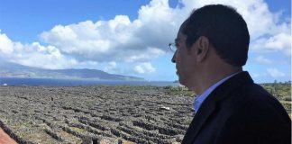 Vinha do Pico – Atribuído apoio suplementar de 240 mil euros para ajudar à manutenção DR