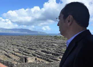 Vinha do Pico – Atribuído apoio suplementar de 240 mil euros para ajudar à manutenção DR
