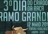 Em Maio – Faial recebe 3º dia da raça Ramo Grande DR