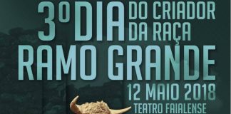 Em Maio – Faial recebe 3º dia da raça Ramo Grande DR