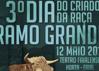 Em Maio – Faial recebe 3º dia da raça Ramo Grande DR