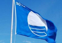 Bandeira Azul – Marina da Horta, Varadouro, Castelo Branco e Porto Pim vão receber o galardão DR