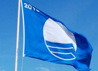 Bandeira Azul – Marina da Horta, Varadouro, Castelo Branco e Porto Pim vão receber o galardão DR