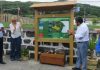 ‘À descoberta da Ribeirinha’ – Novo trilho reforça a aposta no Turismo de Natureza do Faial TI