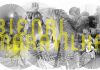 Festival – Bienal Maravilha regressa ao Faial de 7 a 10 de junho DR