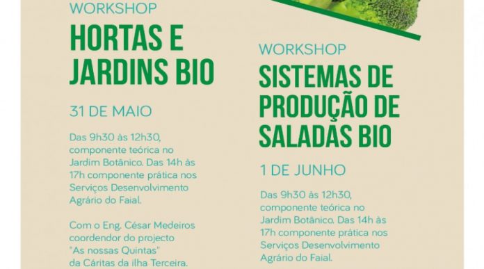 DR DR