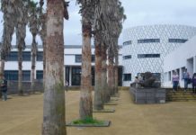 Ano escolar nos Açores – Ano letivo 2018/2019 decorre entre 14 de setembro e 21 de junho DR