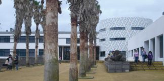 Ano escolar nos Açores – Ano letivo 2018/2019 decorre entre 14 de setembro e 21 de junho DR