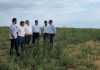 Seca – Cerca de 800 agricultores já apresentaram candidatura DR