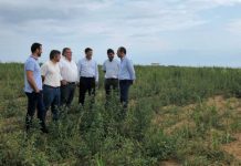 Seca – Cerca de 800 agricultores já apresentaram candidatura DR