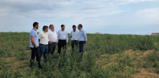 Seca – Cerca de 800 agricultores já apresentaram candidatura DR