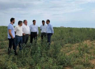 Seca – Cerca de 800 agricultores já apresentaram candidatura DR