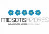 Miosótis Azores – Governo Regional abre candidaturas ao galardão para o período 2019-2020 DR