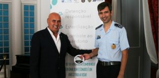 Câmara Municipal da Horta – Campanha de Bem-estar Animal sensibiliza para o abandono animal e adoção DR/CMH