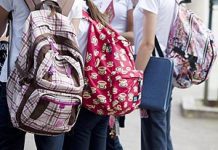 Ano letivo 2018/2019 – Cerca de 2500 alunos voltam à escola na ilha do Faial DR