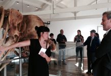 OMA Dia Internacional dos Museus DR/Gacs