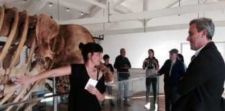 OMA Dia Internacional dos Museus DR/Gacs
