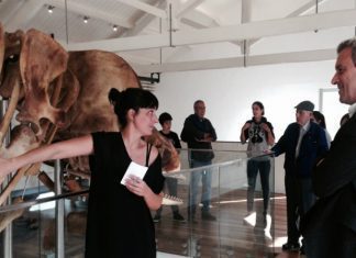 OMA Dia Internacional dos Museus DR/Gacs