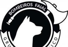Associação Humanitária de Bombeiros Voluntários do Faial – Corpo de Bombeiros aposta na formação na área do Resgate Cinotécnico DR