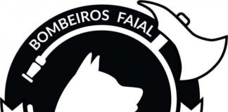 Associação Humanitária de Bombeiros Voluntários do Faial – Corpo de Bombeiros aposta na formação na área do Resgate Cinotécnico DR
