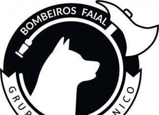 Associação Humanitária de Bombeiros Voluntários do Faial – Corpo de Bombeiros aposta na formação na área do Resgate Cinotécnico DR