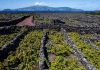 The New York Times – Açores um dos melhores sítios a visitar em 2019 DR