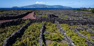 The New York Times – Açores um dos melhores sítios a visitar em 2019 DR