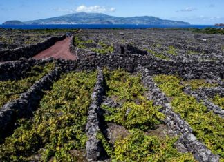 The New York Times – Açores um dos melhores sítios a visitar em 2019 DR