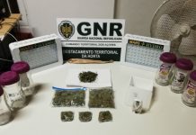 GNR – Detido homem por tráfico de estupefacientes na Horta GNR