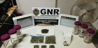 GNR – Detido homem por tráfico de estupefacientes na Horta GNR