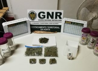GNR – Detido homem por tráfico de estupefacientes na Horta GNR