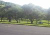 PAN defende acesso gratuito a parques de campismo municipais DR/PAN