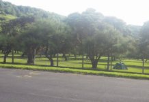 PAN defende acesso gratuito a parques de campismo municipais DR/PAN