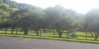 PAN defende acesso gratuito a parques de campismo municipais DR/PAN