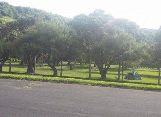 PAN defende acesso gratuito a parques de campismo municipais DR/PAN