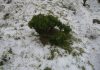 Baixas temperaturas geram queda de neve nos Açores