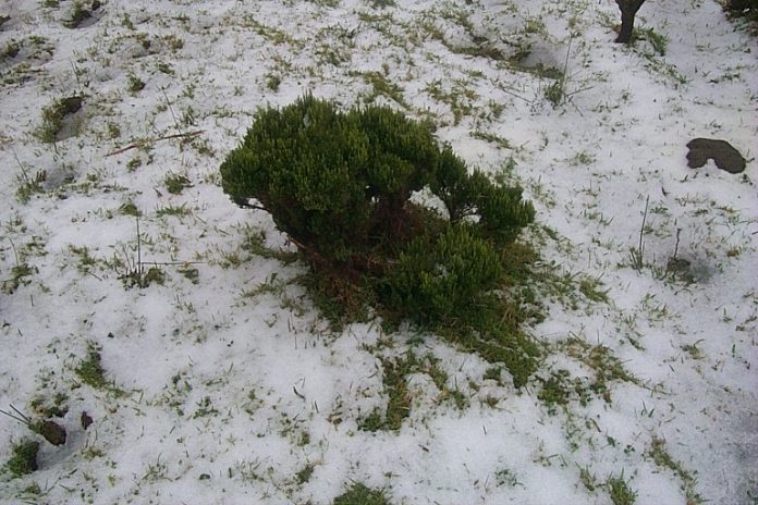 P0000894